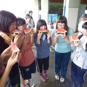 健康栄養学科が越前市しらやま西瓜収穫祭に参加しました。