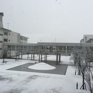仁愛大学にも初雪です‼︎